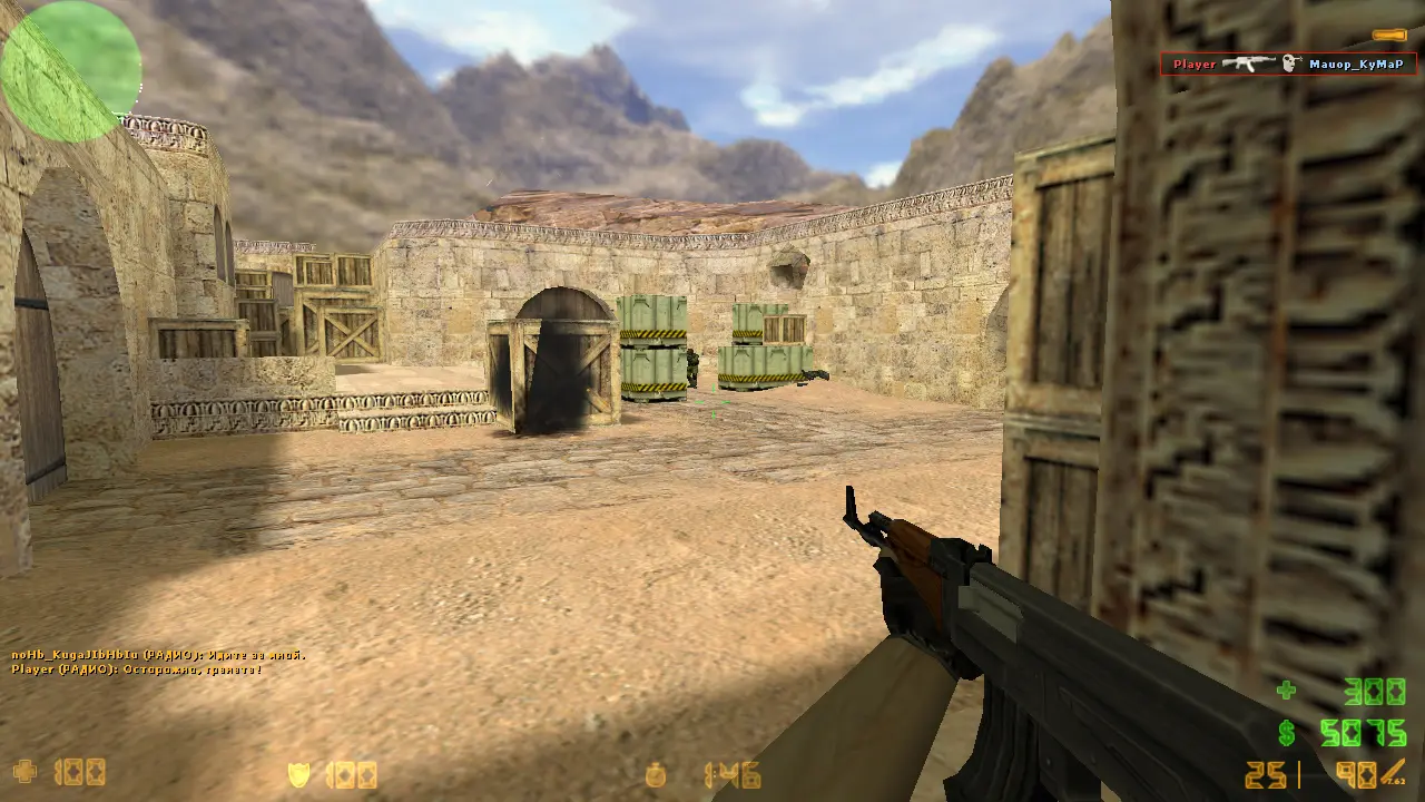 CS 1.6 без анимации