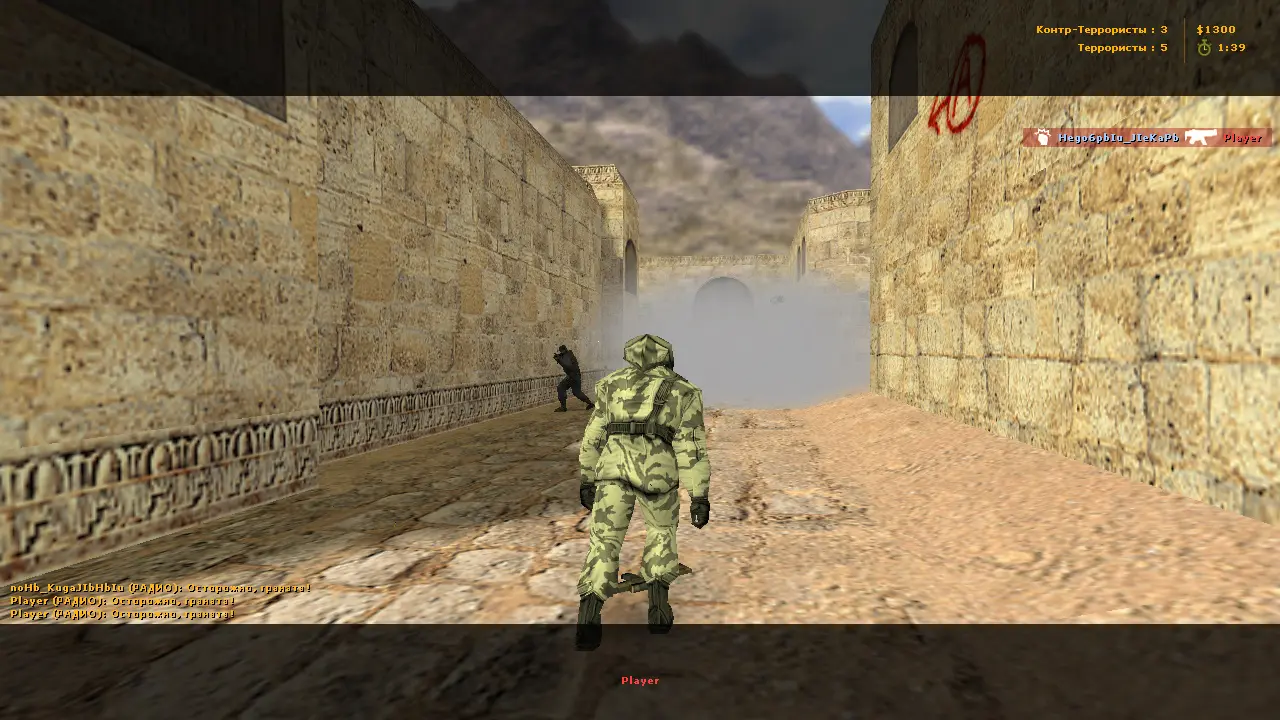 CS 1.6 без анимации